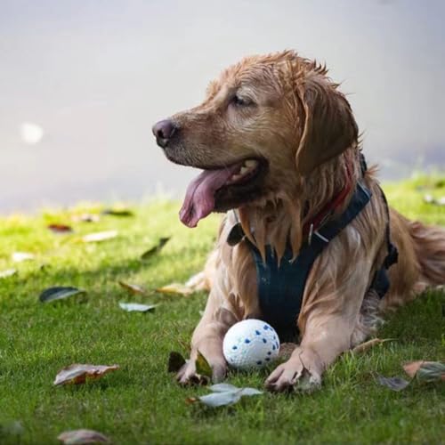 Pelota Perro Indestructible, Pelotas Perros Masticadores Agresivos, Interactivo Perros, Pelota de Goma Duradera y Elástica, Ideal Perros Medianos y Grandes.