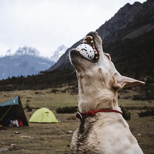 Pelota Perro Indestructible, Pelotas Perros Masticadores Agresivos, Interactivo Perros, Pelota de Goma Duradera y Elástica, Ideal Perros Medianos y Grandes.