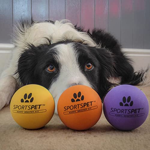 Pelotas de goma para perros SPORTSPET High Bounce Paquete de 3 unidades