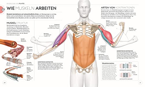 Pilates - Die Anatomie verstehen: Mit Übungen für einen starken und flexiblen Körper