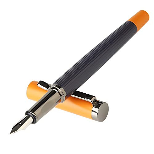 Pluma estilográfica – Pluma fina con convertidor de tinta – Juego de regalo para caligrafía – GC-F11