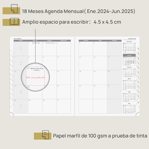 POPRUN Agenda 2024 Mensual 26,5 x 21 5 cm, Planificador 2024 18 Meses de Ene.2024 - Jun.25, Tapa Blanda, Cuero Vegano y Papel FSC®, Verde Pacífico