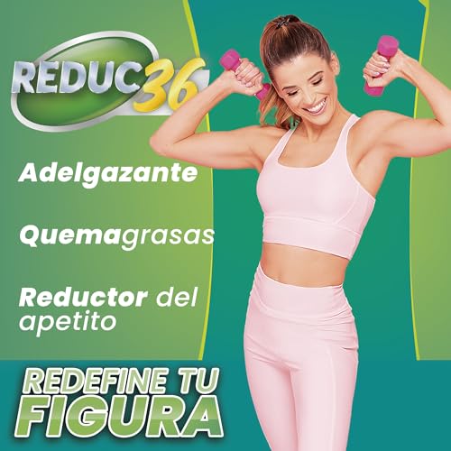 Potente quemagrasas Termogenico | A base de Garcinia Cambogia + L-Carnitina + Colina bitartrato | Estimula el metabolismo| Reduce el apetito | 60 Caps.