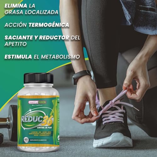 Potente quemagrasas Termogenico | A base de Garcinia Cambogia + L-Carnitina + Colina bitartrato | Estimula el metabolismo| Reduce el apetito | 60 Caps.