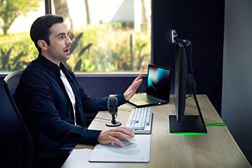 Razer Seiren Mini - Micrófono compacto para USB para streaming, (compacto con patrón polar supercardioide, soporte inclinable, amortiguador integrado) Negro