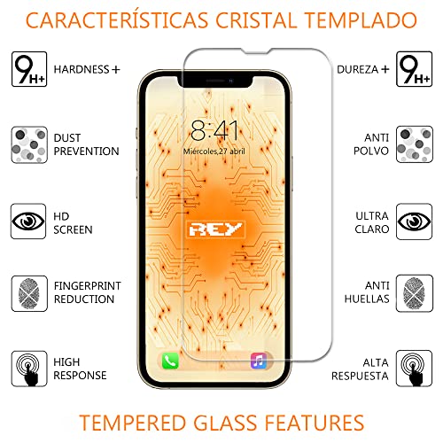 REY Protector de Pantalla para NINTENDO SWITCH LITE, Cristal Vidrio Templado Premium