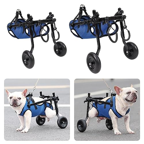 RJSQAQE Patinete para Mascotas, Pata Trasera Ajustable, Carrito de rehabilitación para Perros y Gatos discapacitados, Uds., para Caminar, para Movilidad Ayuda 1 Herramientas Ligera, U1P7