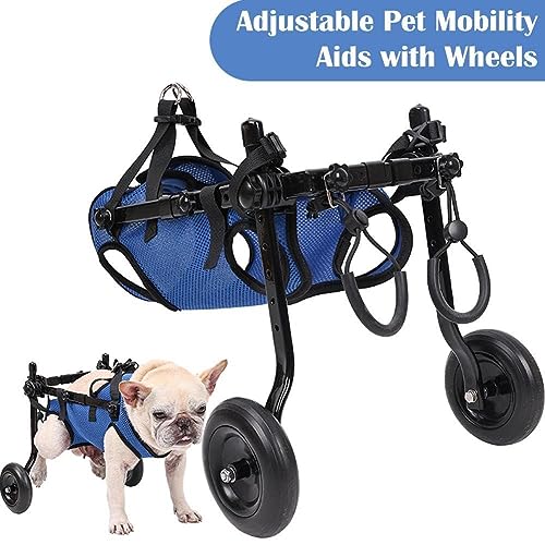 RJSQAQE Patinete para Mascotas, Pata Trasera Ajustable, Carrito de rehabilitación para Perros y Gatos discapacitados, Uds., para Caminar, para Movilidad Ayuda 1 Herramientas Ligera, U1P7