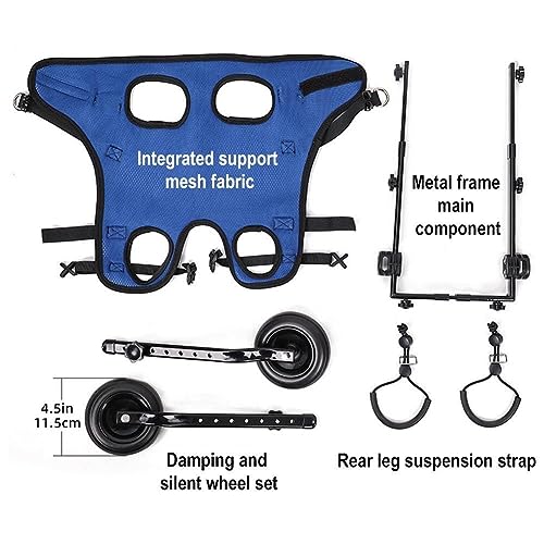 RJSQAQE Patinete para Mascotas, Pata Trasera Ajustable, Carrito de rehabilitación para Perros y Gatos discapacitados, Uds., para Caminar, para Movilidad Ayuda 1 Herramientas Ligera, U1P7