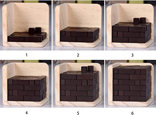 Rompecabezas 3D De Madera de Sharp Brain Zone. Desarrolla Habilidades de Genio con Sus Piezas en Forma de T Que se Ajustan como en Tetris. Juguete Educativo para Niños y Adultos. (Original)