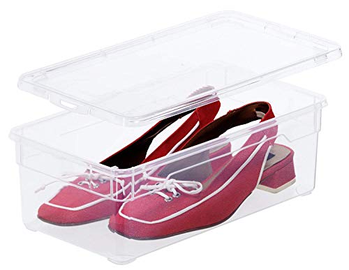 Rotho Clear Juego de 4 cajas de almacenamiento de 5l con tapa, Plástico (PP) sin BPA, transparente, 4 x 5l (33.0 x 19.0 x 11.0 cm)