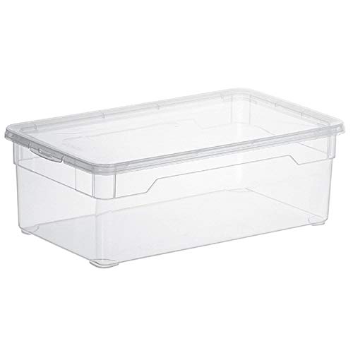 Rotho Clear Juego de 4 cajas de almacenamiento de 5l con tapa, Plástico (PP) sin BPA, transparente, 4 x 5l (33.0 x 19.0 x 11.0 cm)