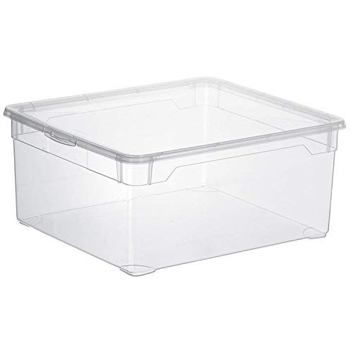 Rotho Clear Juego de 4 cajas de almacenamiento de 5l con tapa, Plástico (PP) sin BPA, transparente, 4 x 5l (33.0 x 19.0 x 11.0 cm)