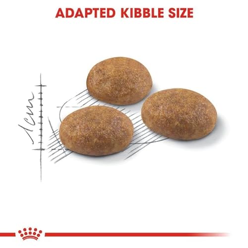 ROYAL CANIN Outdoor | Paquete Triple | 3 x 400 g | Pienso seco | para Gatos Adultos (de 1 a 7 años de Edad) Que corren con frecuencia y Hacen Ejercicio regularmente