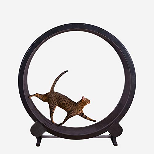 RSTJVB Cat Scratch Tablero Gato Ejercicio Rueda Cinta De Correr Rueda Ferris Muebles Muebles Agarra Grawling Estante Rueda Rotación Gimnasio Pérdida De Peso Juguetes