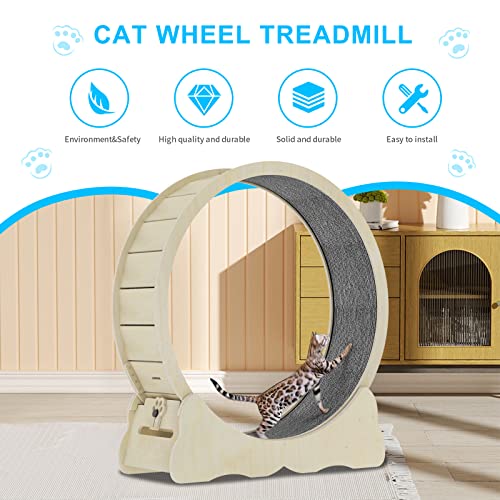 Rueda para Gatos, diámetro Interior de 39.37 Pulgadas, Ruedas Grandes de Correr para Gatos, Rueda de Cinta de Correr para Gatos fácil de Montar con Mecanismo de Bloqueo