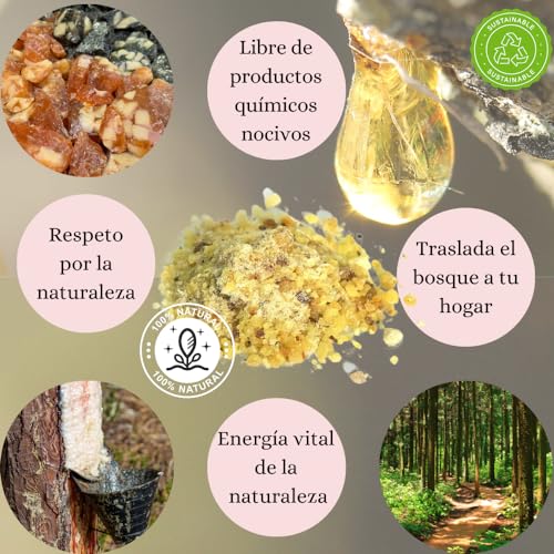 SamayZen - Incienso Natural Frankincense con Sangre de dragón en Grano para Quemar 30g - carbón litúrgico 40mm - Creado a Partir de resinas de árbol - sin tóxicos - Sahumerios Naturales para Meditar