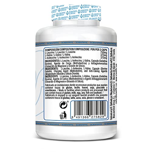 Scientiffic Nutrition - BCAA, Aminoácidos Esenciales Ramificados en Polvo en Proporción 2:1:1, Mejora la Recuperación Muscular y el Aumento de Masa Muscular - 100 Cápsulas.