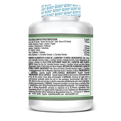 Scientiffic Nutrition - L-Carnitine & Green Tea, L-Carnitina + Té Verde, Actúa como Quemagrasas Eliminándola, Ayuda a su Oxidación Convirtiéndolas en Energía y a Adelgazar - 100 Cápsulas.