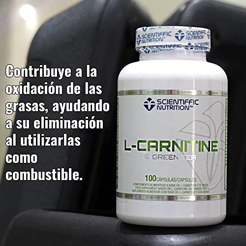 Scientiffic Nutrition - L-Carnitine & Green Tea, L-Carnitina + Té Verde, Actúa como Quemagrasas Eliminándola, Ayuda a su Oxidación Convirtiéndolas en Energía y a Adelgazar - 100 Cápsulas.