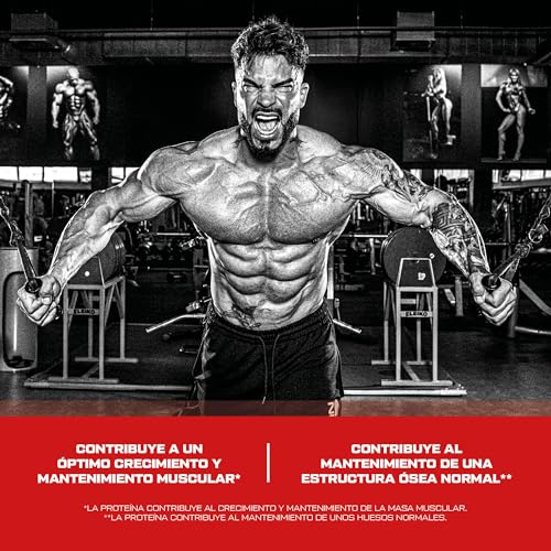 Scitec Nutrition 100% Whey Protein Professional, Con aminoácidos clave y enzimas digestivas adicionales, sin gluten, 2.35 kg, Limón-Tarta de queso