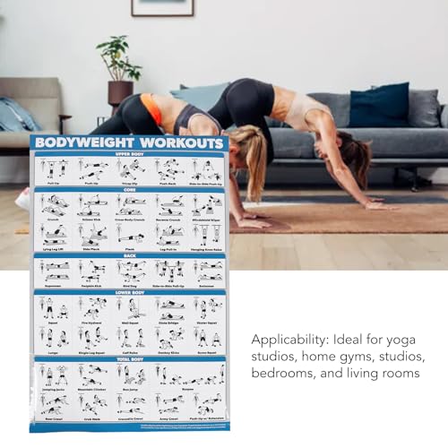 Semme Póster de Ejercicios de Entrenamiento con Mancuernas, Tabla de Gimnasio en Casa con Posturas Estandarizadas, Portátil e Ideal para Estudios de Yoga, Dormitorios y Gimnasios en Casa