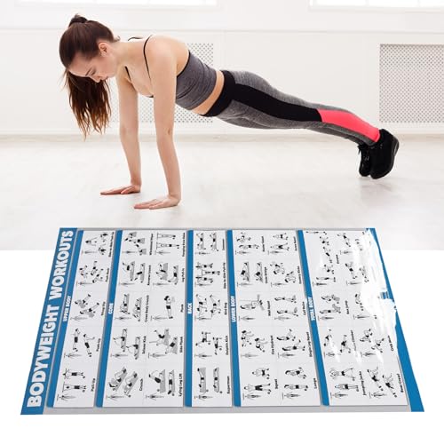 Semme Póster de Ejercicios de Entrenamiento con Mancuernas, Tabla de Gimnasio en Casa con Posturas Estandarizadas, Portátil e Ideal para Estudios de Yoga, Dormitorios y Gimnasios en Casa