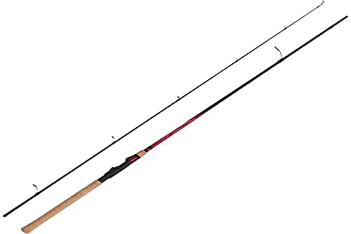 SHIMANO - Rod Catana EX Spinning