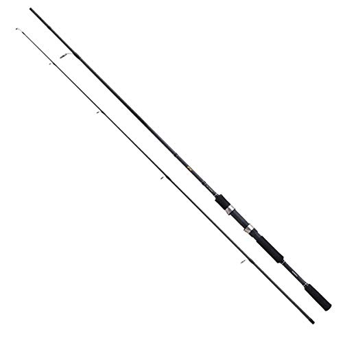 SHIMANO - Rod FX XT Spinning