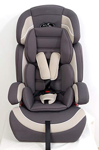 Silla de auto grupo 123 MUNDIBEBE GRIS