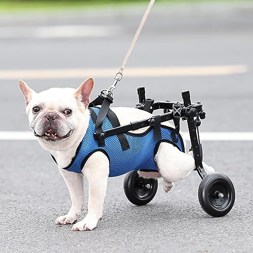 Silla de ruedas for perros pequeños con patas traseras, silla de ruedas for mascotas/perros, ayuda a las mascotas pequeñas con piernas paralizadas a recuperarse con soporte completo ( Color : Blue , S