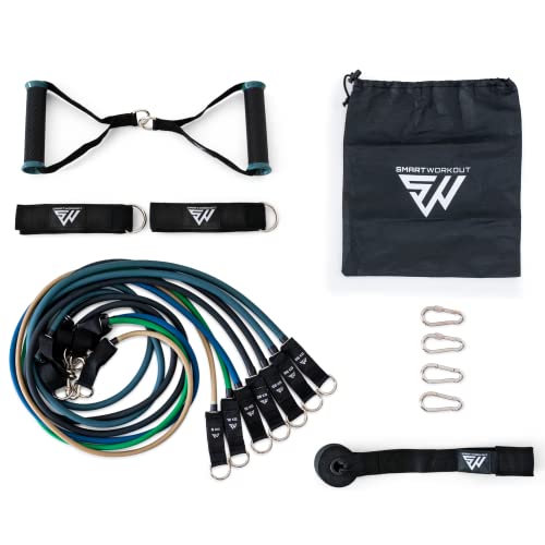 SmartWorkout® - Kit Profesional de Bandas de Resistencia para Musculación - Pack Completo de Fitness 19 Unidades, 7 Gomas Elasticas con un Total de 120 kg, Asas, Anclaje de Puerta y Programa