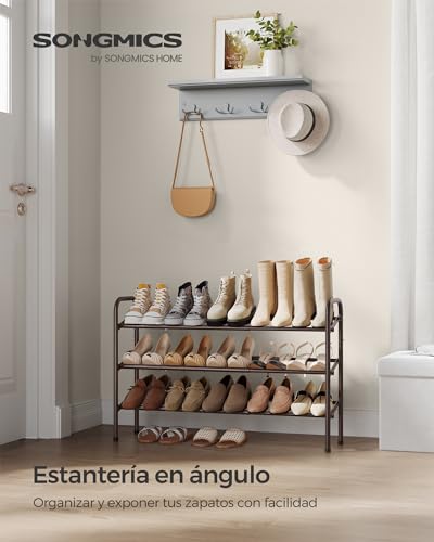 SONGMICS Zapatero Extensible, Zapatero de Metal de 3 Niveles, Organizador de Zapatos Ajustable, Estante Zapatos para Pasillo, Armario, Puerta, Fácil Montaje, Bronce LMR039A01