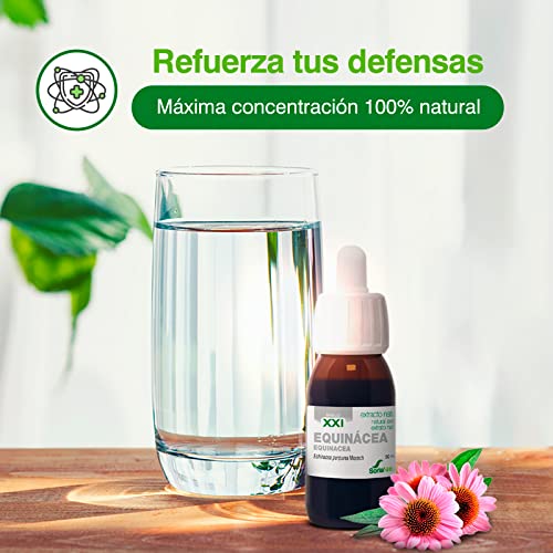 Soria Natural Extracto de Equinácea - Refuerza tus defensas de forma natural - Ayuda al sistema inmunológico - Extracto de Planta 100% Natural Alta Absorción - Botella con 50ml