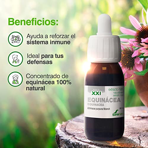 Soria Natural Extracto de Equinácea - Refuerza tus defensas de forma natural - Ayuda al sistema inmunológico - Extracto de Planta 100% Natural Alta Absorción - Botella con 50ml