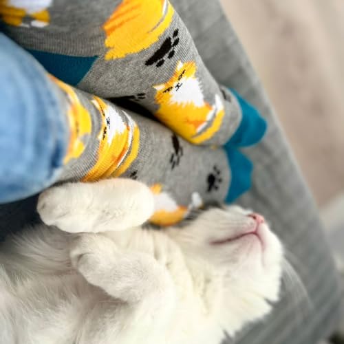 soxo Comida Gato Calcetines Mujer Divertidos Regalos Para Hombre Originales Regalo 35-40 Gato de pelo largo