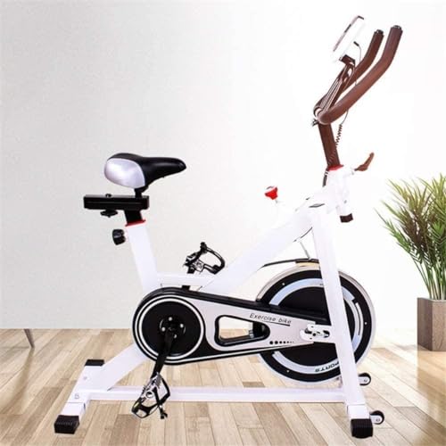 Spinning Bike Silent Indoor Home Vertical Heimtrainer Fitnessgeräte für Indoor Home Gym Aerobic Übungsgerät bequem