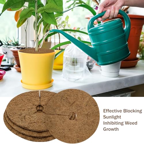 Stingmon Trap Estera de Fibra de Coco 2 Volúmenes(1m*30cm/Rollo) y 3 Piezas Fibra de Coco para Plantas Fibra de Coco Natural para Forro Alfombra de Reptil