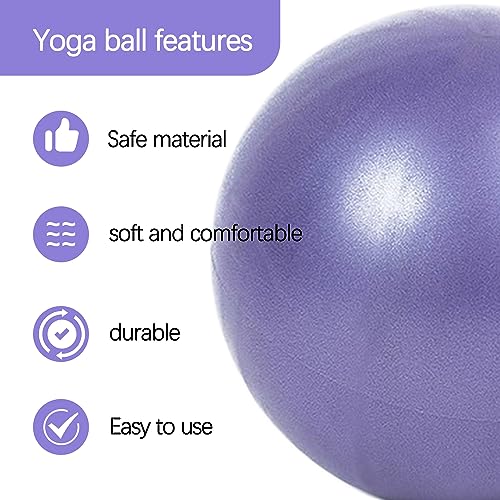 TAFACE 2 bolas de pilates de 25 cm, pequeñas y portátiles, pelotas de yoga de estiramiento, bolas de equilibrio para deportes, adecuadas para pilates, yoga, gimnasia, fitness (púrpura, azul)