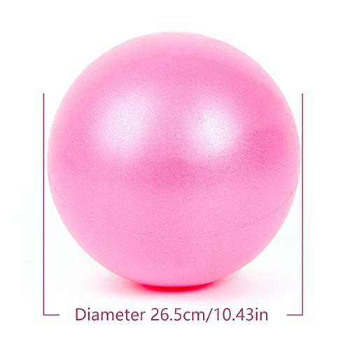 TATAFUN Pelota de Pilates 25 cm Pelota de Ejercicio Pequeñas Anti-Burst Suave Balones de Pelota de Mini Pilates de Yoga para Fitball, Pilates y Gimnasia Fitness (Rosa)