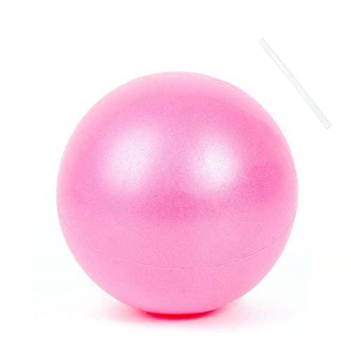 TATAFUN Pelota de Pilates 25 cm Pelota de Ejercicio Pequeñas Anti-Burst Suave Balones de Pelota de Mini Pilates de Yoga para Fitball, Pilates y Gimnasia Fitness (Rosa)