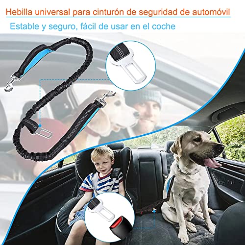 Tobored Correa Doble para Perros. Correa Antitirones Perro para Correr con Costuras Reflectantes y Almacenamiento.Correa Perro Cintura Manos Libres para Pasear Perros Pequeños, Medianos y Grandes.