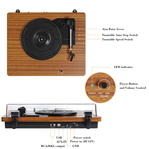 Tocadiscos Bluetooth de Vinilo de 3 velocidades con Altavoces estéreo, Salida USB para convertir Discos de Vinilo a Archivos Digitales, Salida RCA/Entrada Auxiliar, Acabado en Madera