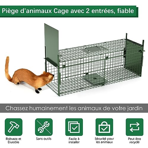 Trampa para comadrejas de Metal Jaula para Animales Plegable y Reutilizable para martas,Gatos,Zorros,mapaches Trampa de Captura Estable con 2 entradas-80CM-Verde