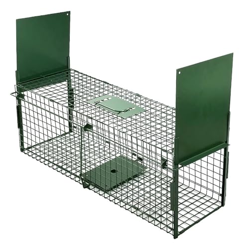 Trampa para comadrejas de Metal Jaula para Animales Plegable y Reutilizable para martas,Gatos,Zorros,mapaches Trampa de Captura Estable con 2 entradas-80CM-Verde