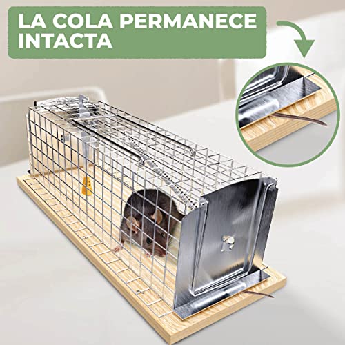 Trampa Viva para Ratas y Ratones - Durable y Reutilizable - Ratonera Grande para Animales - fácil para Usar