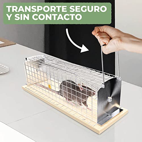 Trampa Viva para Ratas y Ratones - Durable y Reutilizable - Ratonera Grande para Animales - fácil para Usar