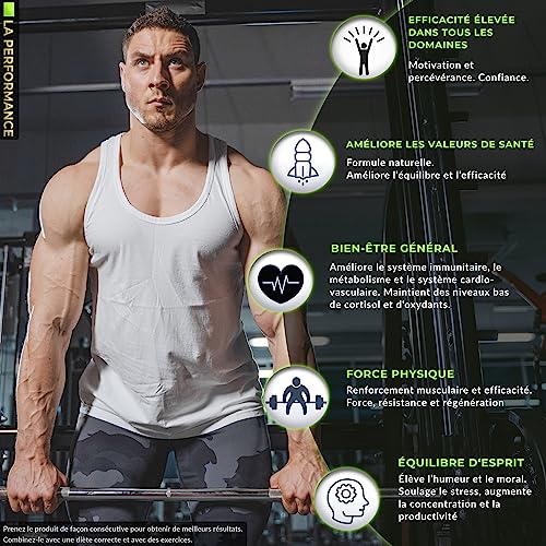 Tribulus Terrestris + Maca + Ashwagandha | Extracto 10:1 Con 92% Saponinas | Zn, Se, Ca, Vit.D | Fuerza, Resistencia, Recuperación Muscular | 160 cápsulas | Peak Performance de Synergie Nutrition