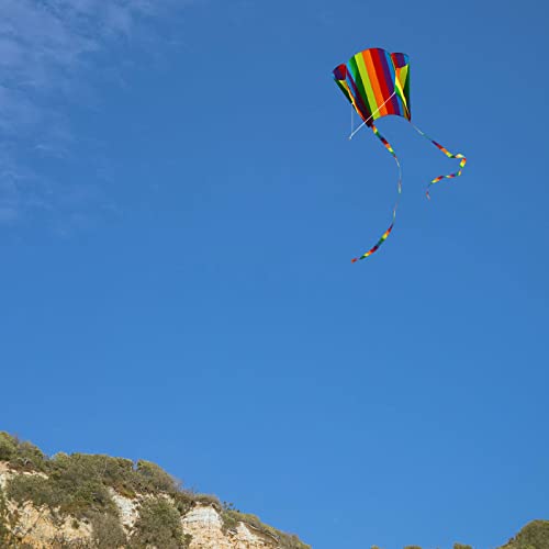 TSHAOUN Cometas de Colores para niños y audlts, Arcoíris Cometa con Cuerda de Cometa y asa, Cometa para Deportes al Aire Libre de Verano en Parque de la Playa, Fácil de Montar, 82 * 52 cm