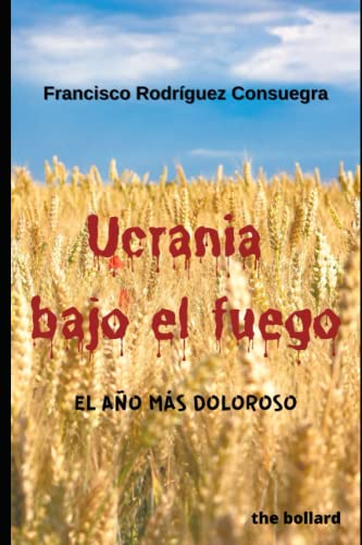 Ucrania bajo el fuego: El año más doloroso